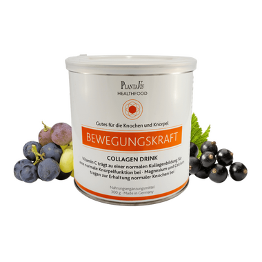 BewegungsKraft Collagen Drink